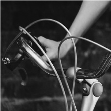 Yahoo!ショッピング